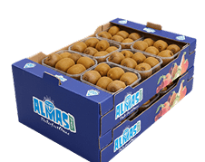 Hayward Kiwi packaging 1